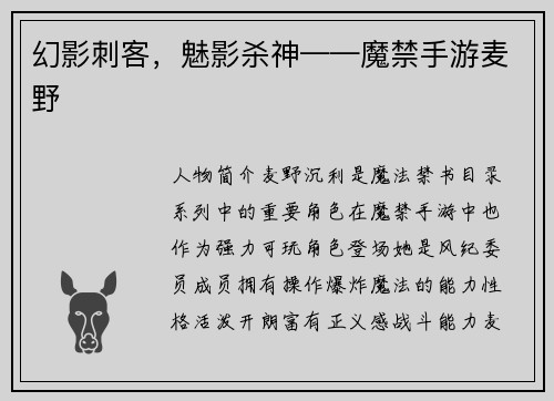 幻影刺客，魅影杀神——魔禁手游麦野